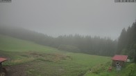 Archived image Webcam Weather Station St. Englmar-Hinterwies 11:00