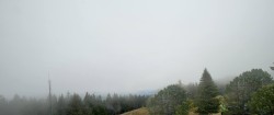 Archived image Webcam Gaberlhaus - Western view 11:00