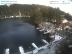 Archived image Webcam Panoramic view of Lake Mummelsee 11:00