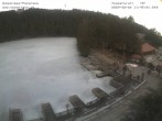 Archiv Foto Webcam Panoramablick auf den Mummelsee 11:00