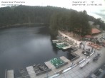 Archiv Foto Webcam Panoramablick auf den Mummelsee 11:00