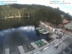 Archiv Foto Webcam Panoramablick auf den Mummelsee 11:00