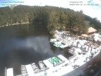 Archiv Foto Webcam Panoramablick auf den Mummelsee 11:00