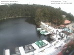Archiv Foto Webcam Panoramablick auf den Mummelsee 11:00