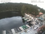 Archiv Foto Webcam Panoramablick auf den Mummelsee 13:00