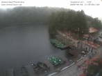 Archived image Webcam Panoramic view of Lake Mummelsee 11:00