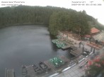 Archived image Webcam Panoramic view of Lake Mummelsee 06:00