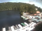 Archiv Foto Webcam Panoramablick auf den Mummelsee 12:00