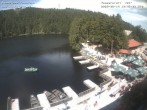 Archiv Foto Webcam Panoramablick auf den Mummelsee 14:00