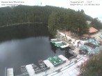 Archived image Webcam Panoramic view of Lake Mummelsee 11:00