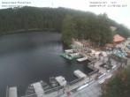 Archived image Webcam Panoramic view of Lake Mummelsee 11:00