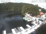 Archived image Webcam Panoramic view of Lake Mummelsee 13:00