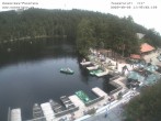 Archiv Foto Webcam Panoramablick auf den Mummelsee 11:00