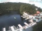 Archiv Foto Webcam Panoramablick auf den Mummelsee 13:00