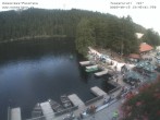 Archiv Foto Webcam Panoramablick auf den Mummelsee 13:00