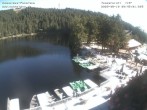 Archiv Foto Webcam Panoramablick auf den Mummelsee 09:00