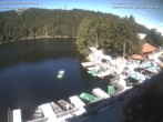 Archiv Foto Webcam Panoramablick auf den Mummelsee 13:00