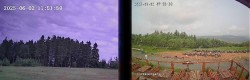Archiv Foto Webcam Niedersfeld: Ausblick von der Hochheidehütte 11:00
