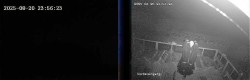 Archiv Foto Webcam Niedersfeld: Ausblick von der Hochheidehütte 23:00