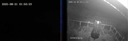 Archiv Foto Webcam Niedersfeld: Ausblick von der Hochheidehütte 01:00