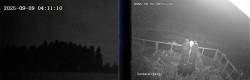 Archiv Foto Webcam Niedersfeld: Ausblick von der Hochheidehütte 02:00
