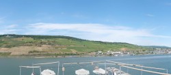 Archived image Webcam Bingen - Hotel Papa Rhein 13:00