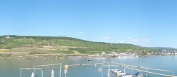 Archived image Webcam Bingen - Hotel Papa Rhein 11:00