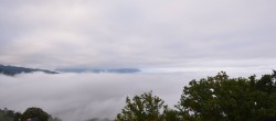 Archiv Foto Webcam Viktorsberg - Blick auf Feldkirch 07:00