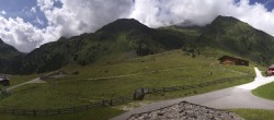 Archiv Foto Webcam Oberiss Alm im Stubaier Oberbergtal 13:00