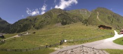 Archived image Webcam Stubai Oberberg valley - Oberiss Alm 11:00