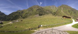 Archiv Foto Webcam Oberiss Alm im Stubaier Oberbergtal 11:00
