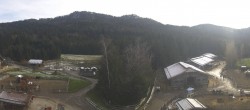 Archiv Foto Webcam Henndorf am Wallersee - Gut Aiderbichl 11:00