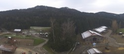 Archiv Foto Webcam Henndorf am Wallersee - Gut Aiderbichl 13:00