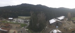 Archiv Foto Webcam Henndorf am Wallersee - Gut Aiderbichl 11:00