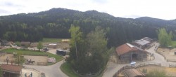 Archiv Foto Webcam Henndorf am Wallersee - Gut Aiderbichl 11:00