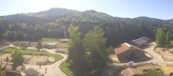 Archiv Foto Webcam Henndorf am Wallersee - Gut Aiderbichl 09:00