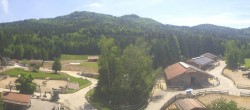 Archiv Foto Webcam Henndorf am Wallersee - Gut Aiderbichl 11:00