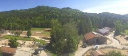 Archiv Foto Webcam Henndorf am Wallersee - Gut Aiderbichl 13:00