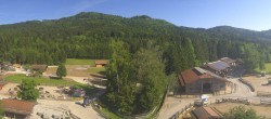 Archiv Foto Webcam Henndorf am Wallersee - Gut Aiderbichl 15:00