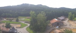 Archiv Foto Webcam Henndorf am Wallersee - Gut Aiderbichl 09:00