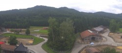 Archiv Foto Webcam Henndorf am Wallersee - Gut Aiderbichl 13:00