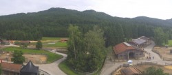 Archiv Foto Webcam Henndorf am Wallersee - Gut Aiderbichl 15:00