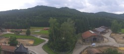 Archiv Foto Webcam Henndorf am Wallersee - Gut Aiderbichl 17:00