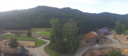 Archiv Foto Webcam Henndorf am Wallersee - Gut Aiderbichl 06:00