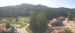 Archiv Foto Webcam Henndorf am Wallersee - Gut Aiderbichl 09:00