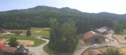 Archiv Foto Webcam Henndorf am Wallersee - Gut Aiderbichl 11:00