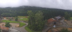 Archiv Foto Webcam Henndorf am Wallersee - Gut Aiderbichl 05:00