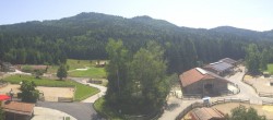 Archiv Foto Webcam Henndorf am Wallersee - Gut Aiderbichl 11:00