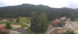Archiv Foto Webcam Henndorf am Wallersee - Gut Aiderbichl 13:00