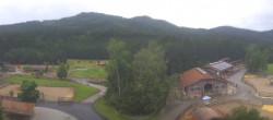 Archiv Foto Webcam Henndorf am Wallersee - Gut Aiderbichl 15:00
